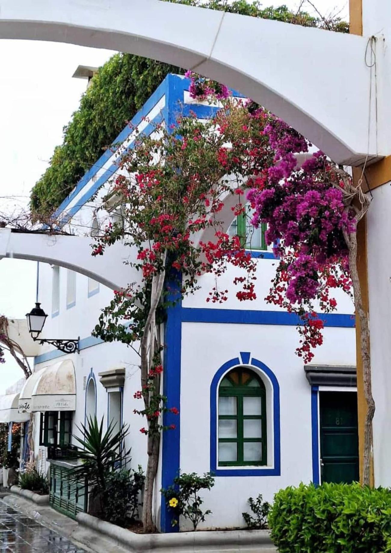 Morning Sun Apartment 229 بويرتو دي موغان المظهر الخارجي الصورة